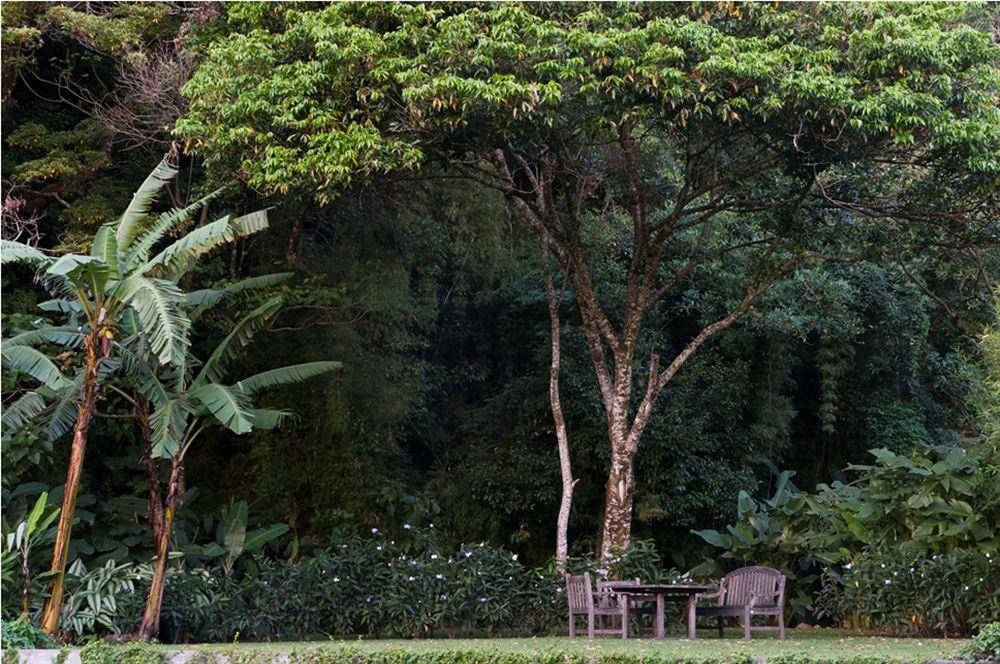 The Haven - Hotel & Spa, - Adults Only Bajo Boquete Exterior foto